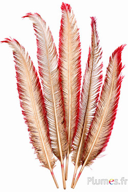 Struzzo - Metallic Edge - 27-33 cm - rosso-oro